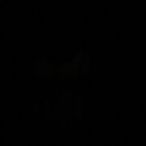 Meet your Posher, Diona